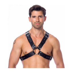 Body harness