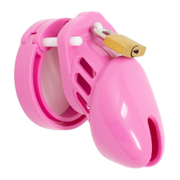 Male chastity cage