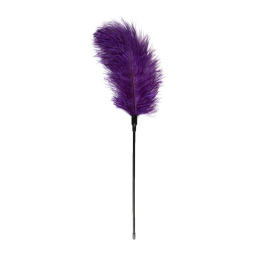 Feather tickler